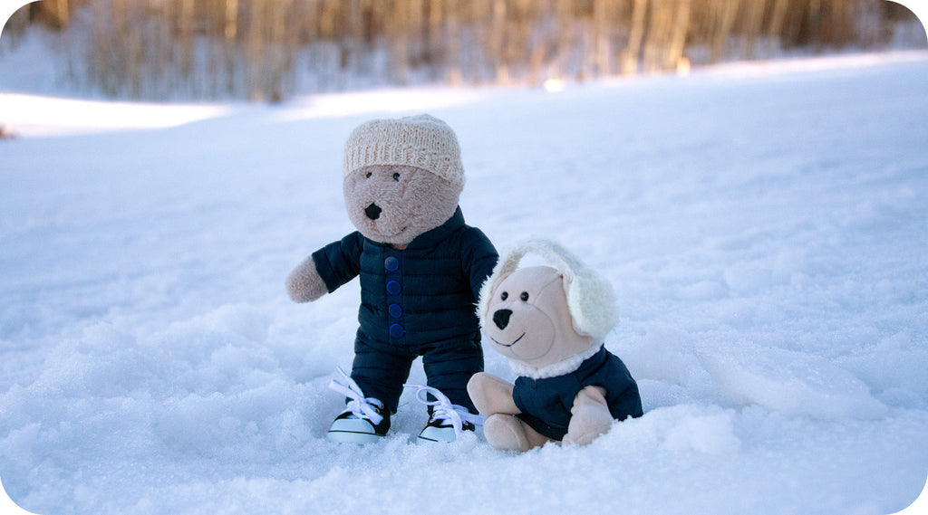 Teddy and Puppy Ride on a Ski Lift
